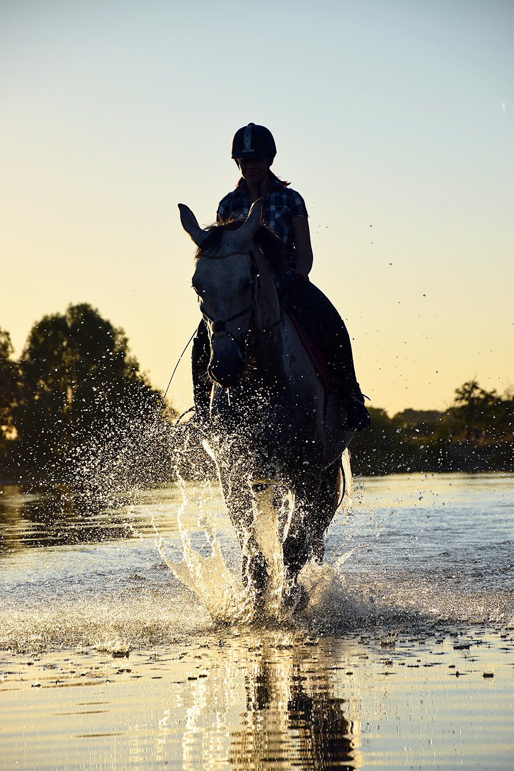 Villa Bel Air - équitation sur l'île de Ré